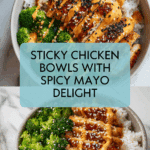 Sticky Chicken Bowls Recipe