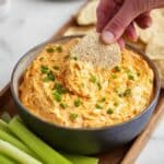 Slow Cooker Buffalo Chicken Dip Recipe