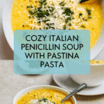 Italian Penicillin Soup Recipe