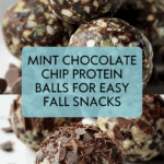 Mint Chocolate Chip Protein Balls Recipe