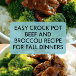 Savory Crock Pot Beef and Broccoli - Alrightwithme Recipe