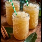 pple Cider Rum Slushies Recipe