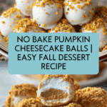 Easy No Bake Pumpkin Cheesecake Balls Recipe