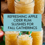 pple Cider Rum Slushies Recipe